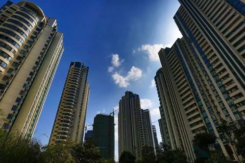 重慶有房一族 安居與增值的平衡，樓市起伏中的真實(shí)心態(tài)